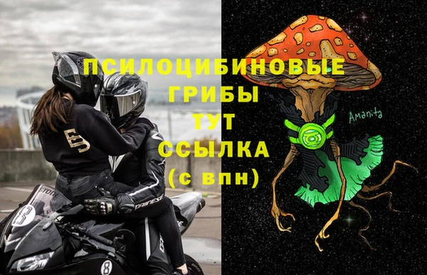 apvp Армянск