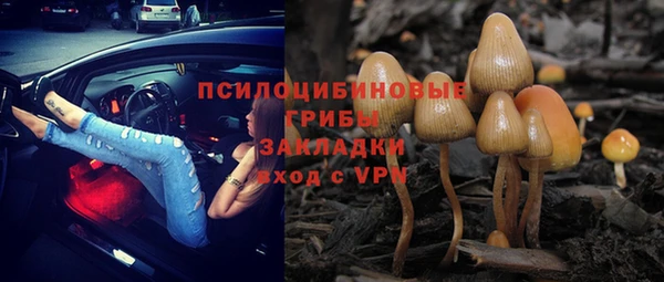 apvp Армянск